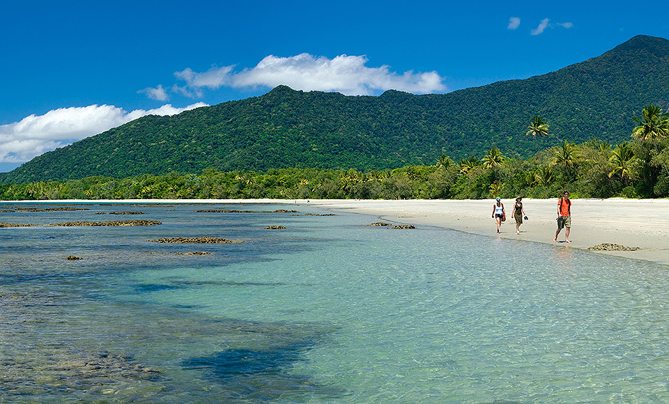 Tablelands Sights & Daintree Rainforest