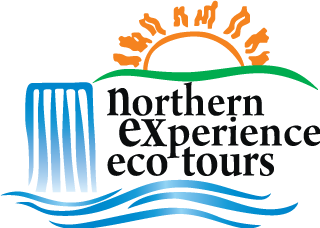 Northern Experience Eco Tours